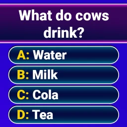 Milyoner Bilgi Yarışması